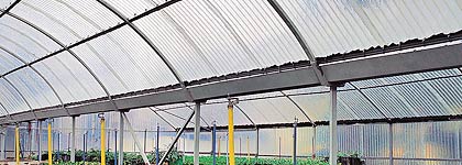Agroser transparent greenhouse coverings 