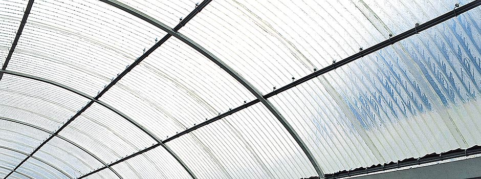 Agroser transparent GRP sheet for greenhouse