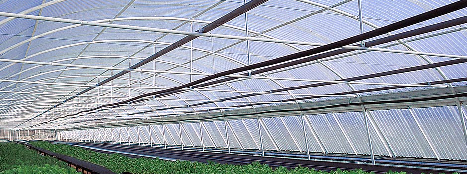 Fibroser and Agroser translucent GRP sheets for greenhouses