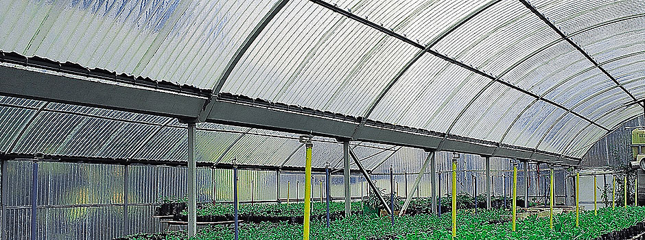 Agroser transparent FRP greenhouse covering