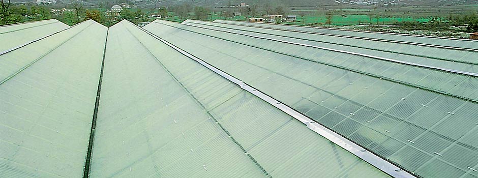 Agroser transparent GRP greenhouse covering