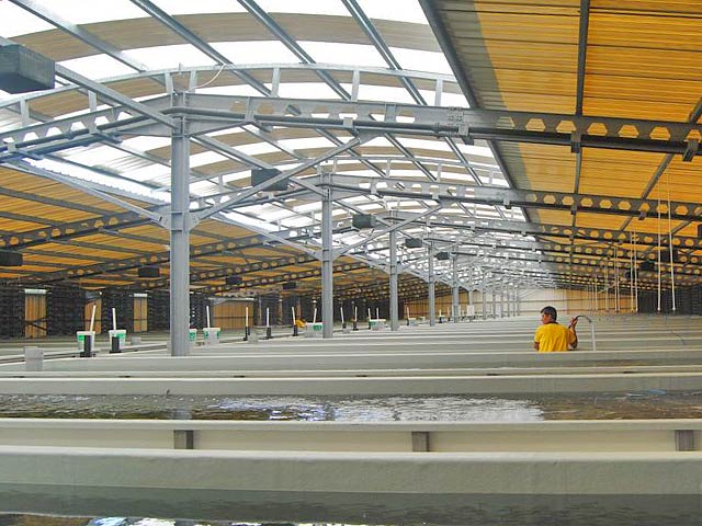 Egemar aquaculture farm