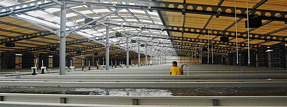FRP for the aquaculture production